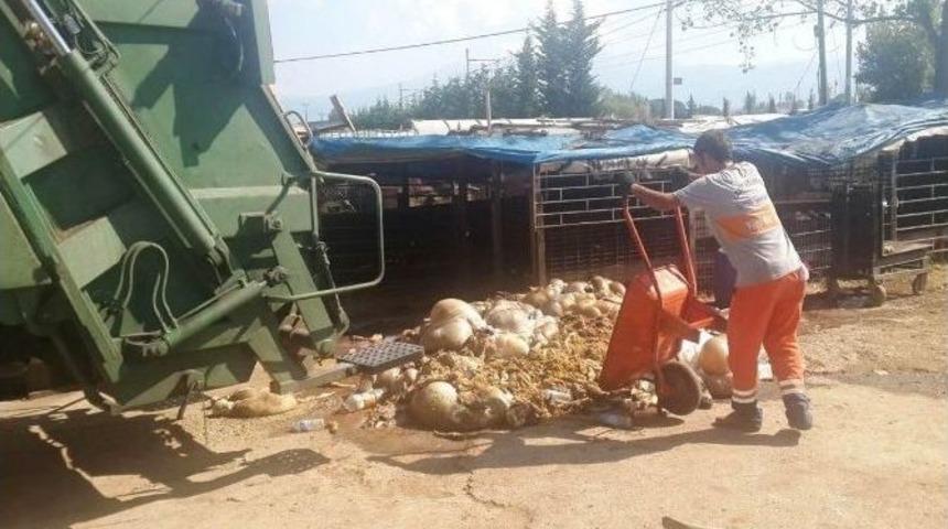 İzmit Zabıtası Bayrama Hazır