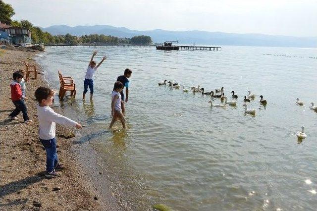 Türkçe Öğrenen Suriyeli Mülteciler Piknikte Buluştu