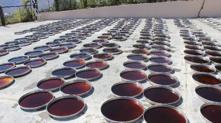 Dut Pekmezi Tut İl&ccedil;esinde Ekonominin Omurgasını Oluşturuyor