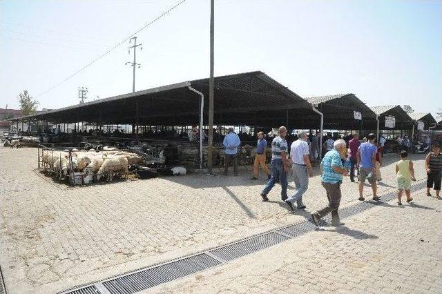 Aydın Büyükşehir Belediyesi Kurban Bayramı’na Hazır