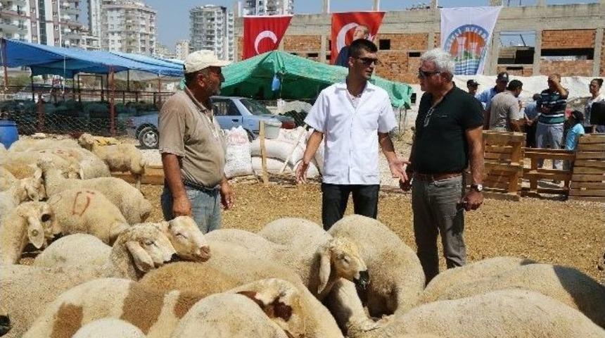 Mezitli Kurban Pazarında Her Ayrıntı D&uuml;ş&uuml;n&uuml;ld&uuml;