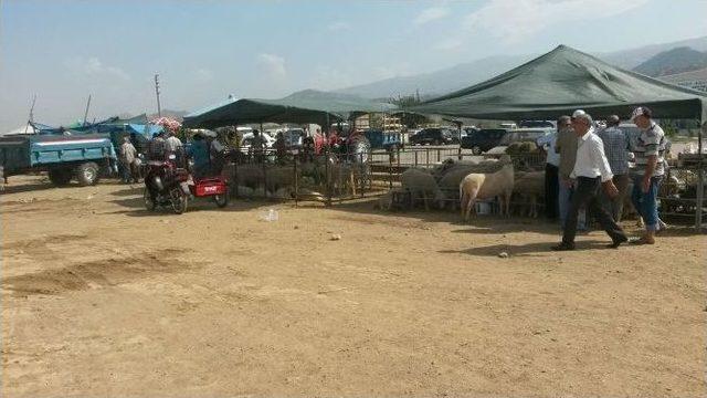 Salihli’de Kurban Bayramı Hazırlıkları Tamamlandı