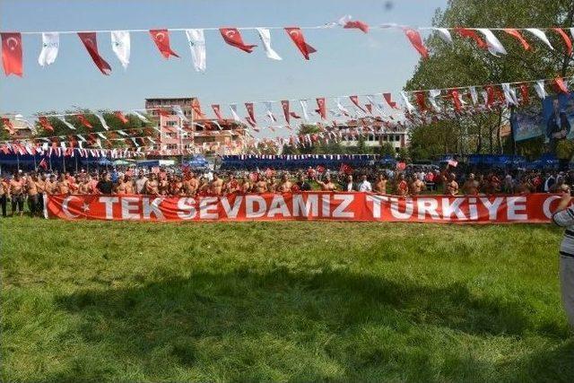 4. Altın Kemer Paşa Yağlı Güreşleri Başpehlivanı Şaban Yılmaz