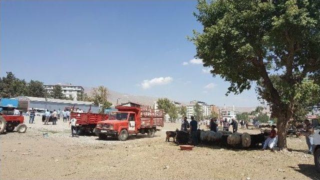 Kurban Pazarlarında Yoğunluk