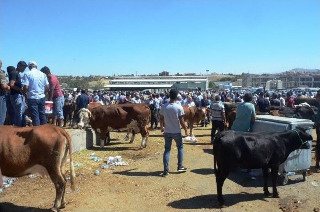 Canlı Hayvan Pazarında Arife Yoğunluğu
