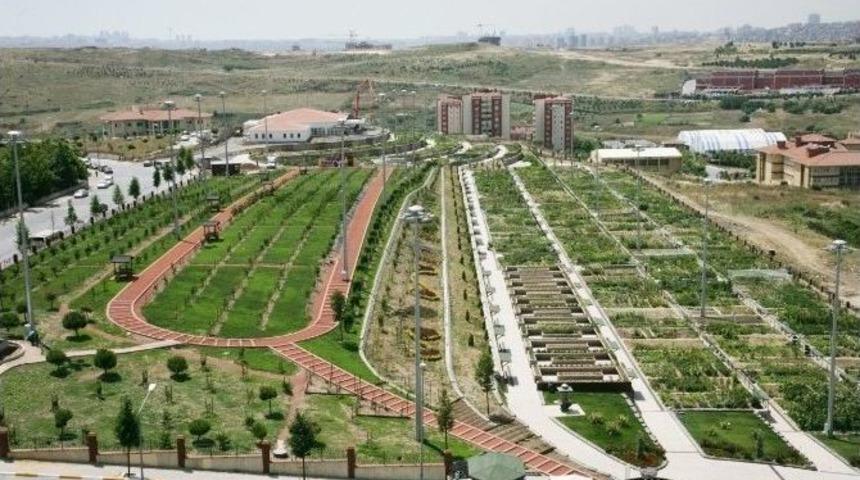 Hobi Bah&ccedil;esi Yeni Sahiplerini Arıyor