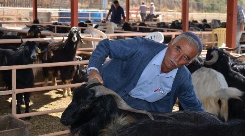 Kurbanlıklar Yeni Sahiplerini Buldu