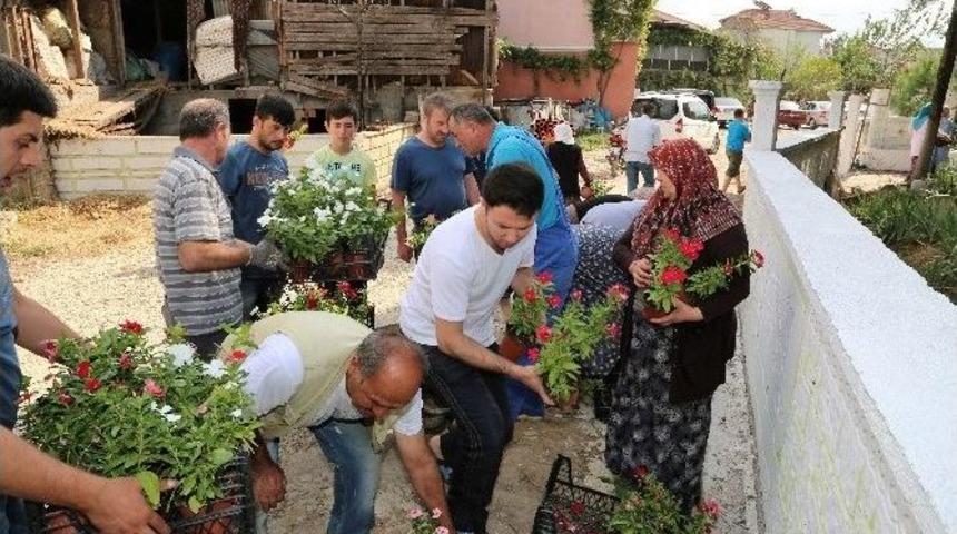 Başiskele Belediyesi, Mezarlıklarda 4 Bin Adet Mevsimlik &Ccedil;i&ccedil;ek Dağıtı