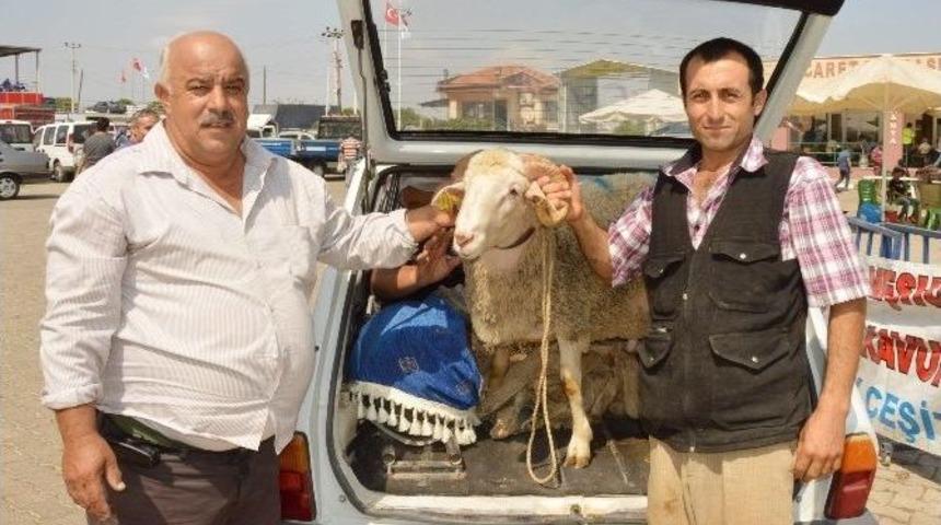 (&ouml;zel Haber) Kurban Pazarı Servis&ccedil;ilerin Y&uuml;z&uuml;n&uuml; G&uuml;ld&uuml;rd&uuml;