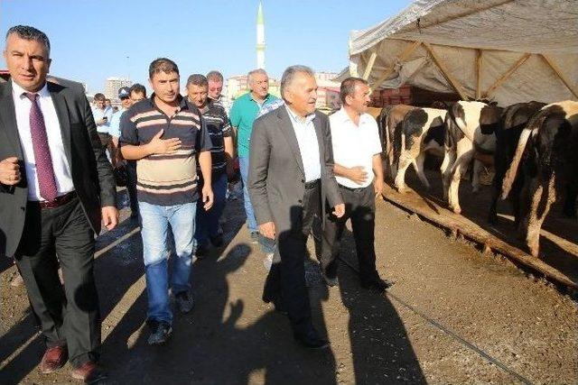 Başkan Memduh Büyükkılıç, Serkent Kurban Pazarı Denetimde