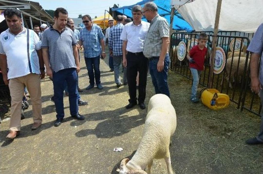 Belediye Başkan Yardımcıları Kurban Satış Alanını Ziyaret Etti