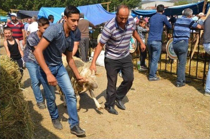 Belediye Başkan Yardımcıları Kurban Satış Alanını Ziyaret Etti G4