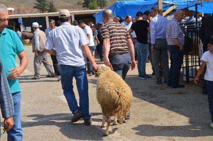Belediye Başkan Yardımcıları Kurban Satış Alanını Ziyaret Etti G5