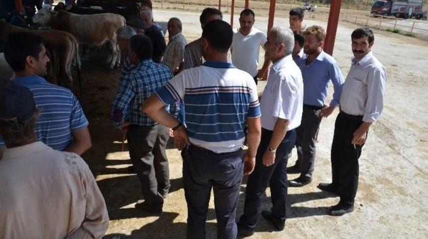 Osmancık Belediye Başkanı Karataş Kurban Pazarını Ziyaret Etti