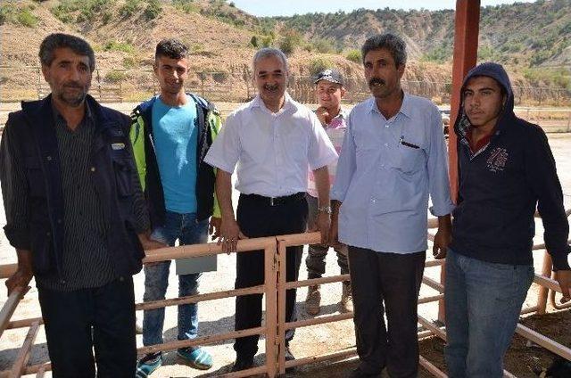 Osmancık Belediye Başkanı Karataş Kurban Pazarını Ziyaret Etti