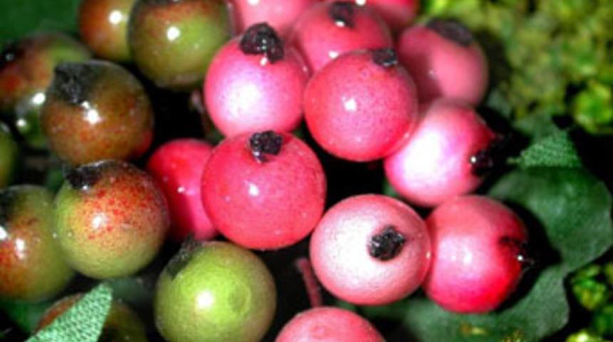 Zihin a&ccedil;ıcı 8 besin!