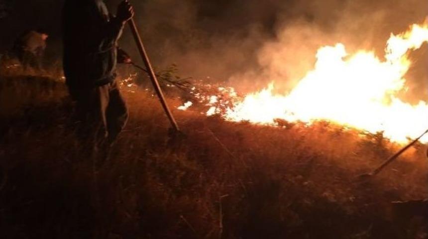 P&uuml;l&uuml;m&uuml;r&rsquo;deki Yangına M&uuml;dahale S&uuml;r&uuml;yor