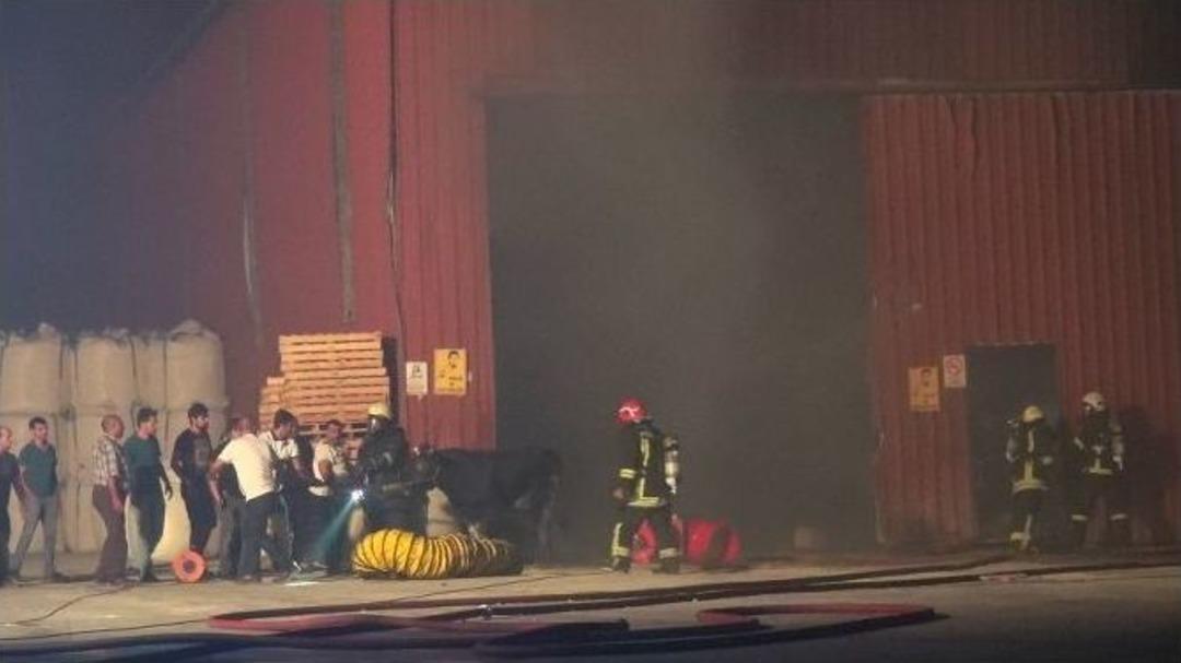 K&uuml;k&uuml;rt Deposundaki Yangından Kurbanlık Tosun Son Anda Kurtarıldı