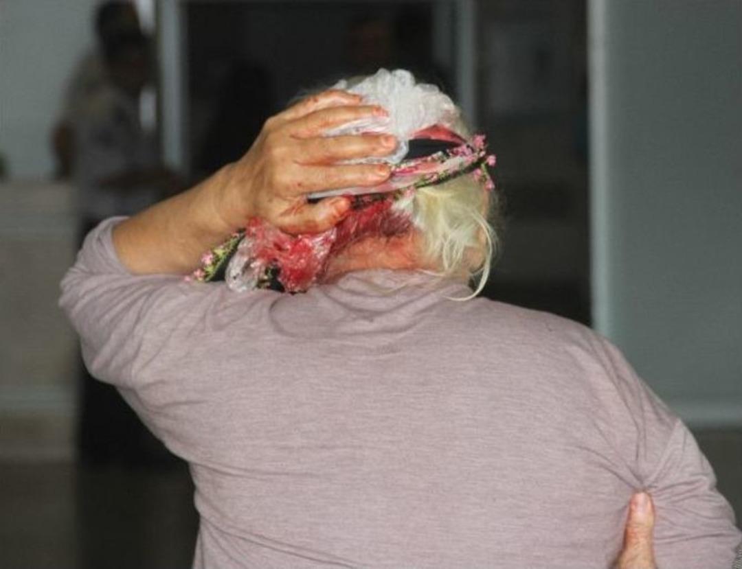 Acemi Kasaplar İş Başında