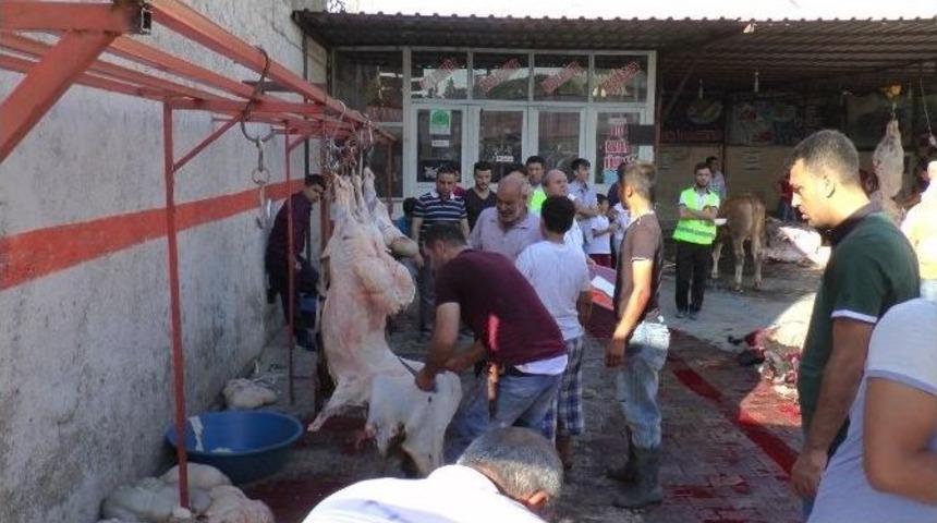 Kurbanlar Kesilmeye Başlandı