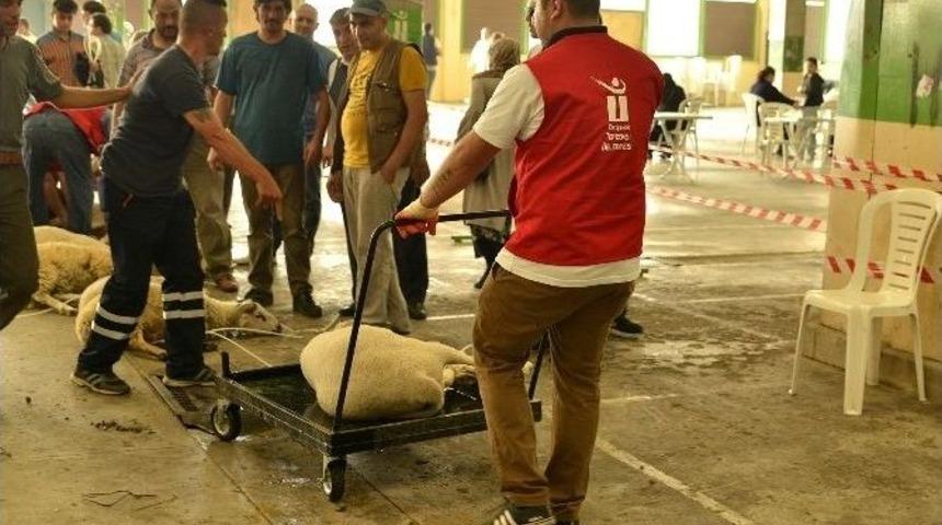 Tepebaşı&rsquo;nda Kurban Bayramı Sağlıklı Ve Huzurlu Ge&ccedil;iyor