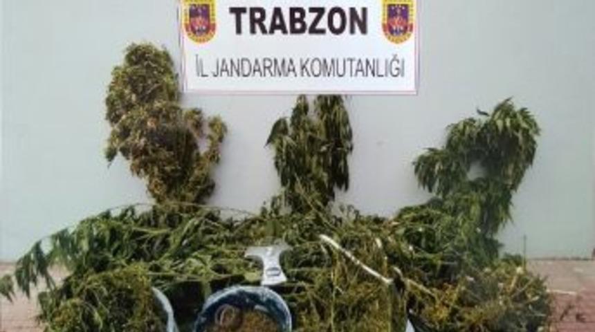Trabzon&rsquo;da Uyuşturucu Operasyonu