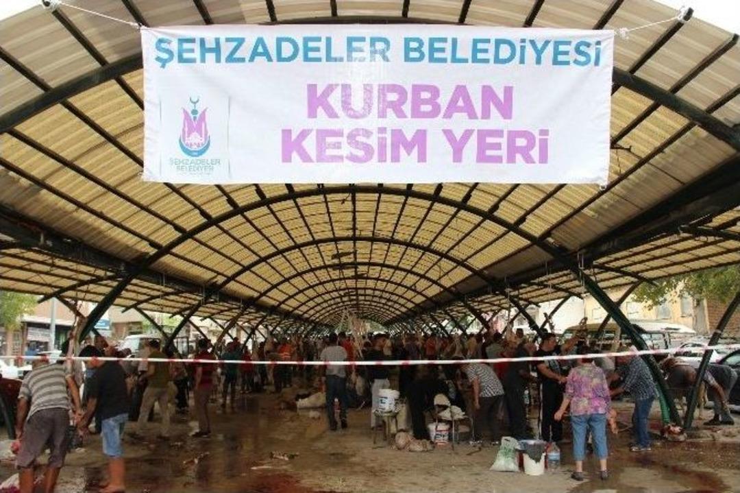 Hayvanların Eziyet G&ouml;rmesine Vatandaştan Tepki