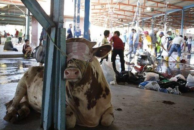 Antalya’da Kurbanlıklar Belirlenen Noktalarda Kesildi