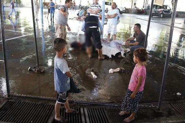 Antalya’da Kurbanlıklar Belirlenen Noktalarda Kesildi