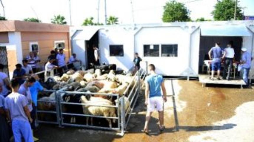 B&uuml;y&uuml;kşehir Belediyesi&rsquo;nin Mobil Kesim &Uuml;nitelerine Yoğun İlgi