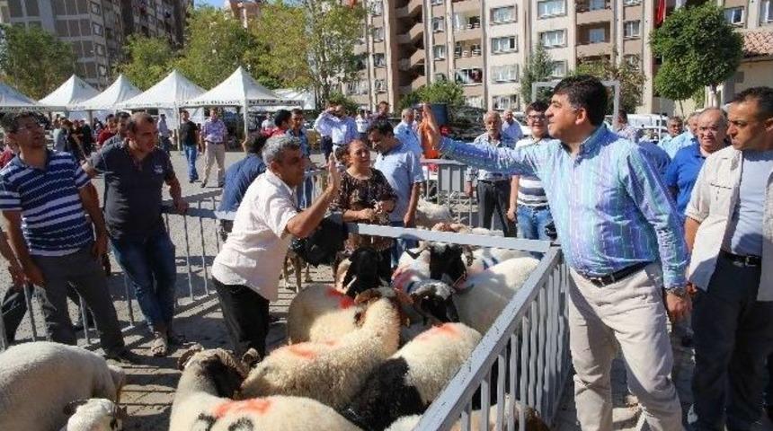 Fadıloğlu Kurban Kesim Yerlerini Gezdi