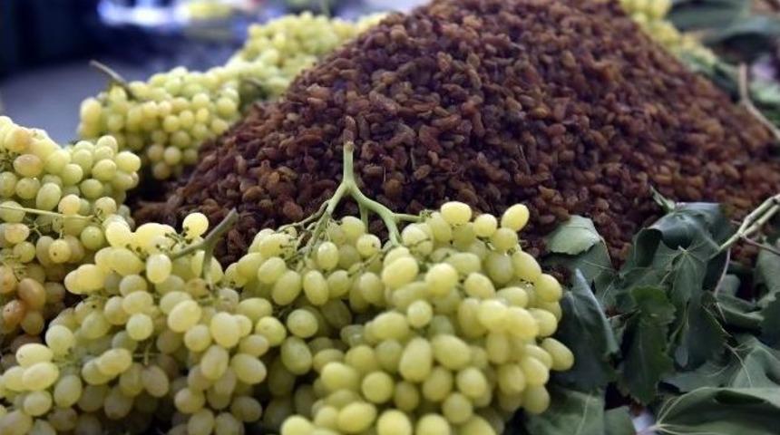 &Ccedil;ekirdeksiz Kuru &Uuml;z&uuml;m İhracatı 200 Bin Tonu Aştı