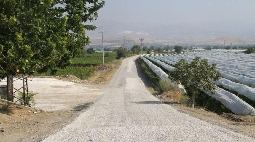 &Uuml;z&uuml;m &Uuml;reticisi, Toz Topraktan Kurtuldu