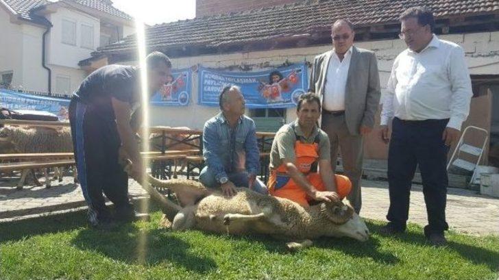 Büyükçekmece’den Struga’ya Kurban Kardeşliği G1