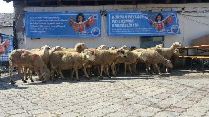 Büyükçekmece’den Struga’ya Kurban Kardeşliği G2