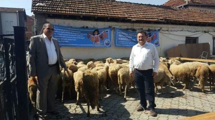 Büyükçekmece’den Struga’ya Kurban Kardeşliği G4