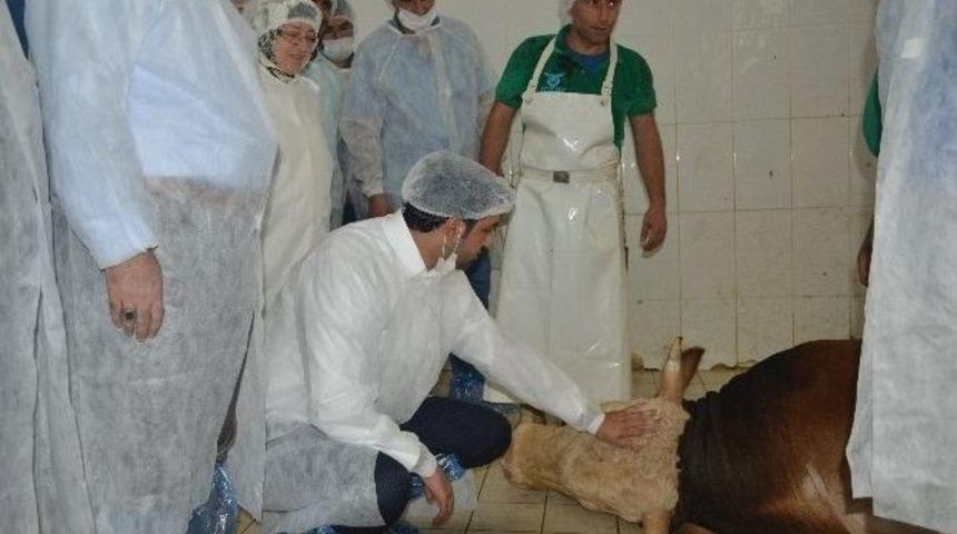 Ak Parti İstanbul Başkanlığı Diyarbakır&rsquo;da 100 B&uuml;y&uuml;kbaş Kurban Kestirdi