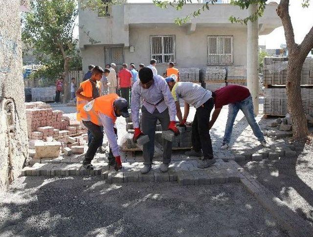 Demirkol Yol Çalışmasını Denetledi