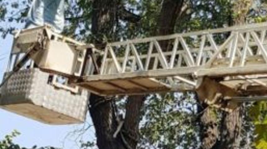 İtfaiyeden Kedi Kurtarma Operasyonu