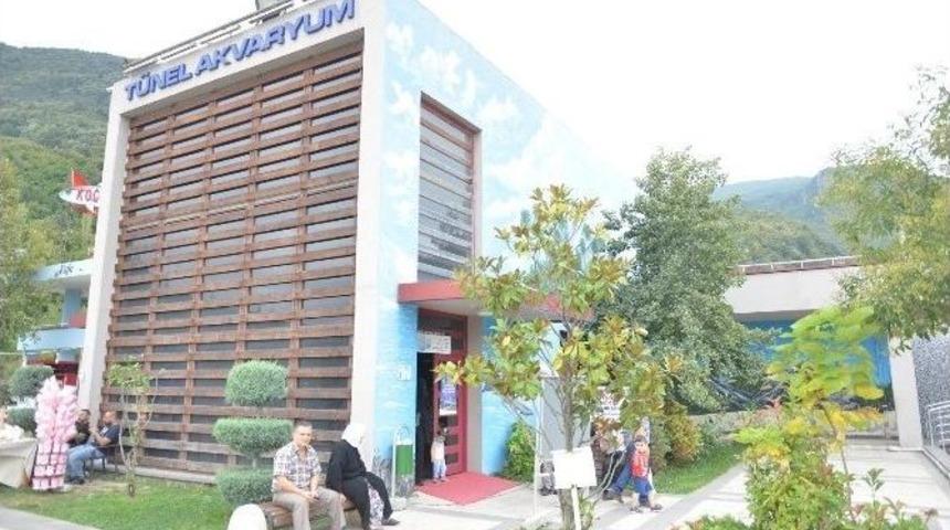 Cazibe Merkezi&rsquo;ndeki Akvuryuma B&uuml;y&uuml;k İlgi