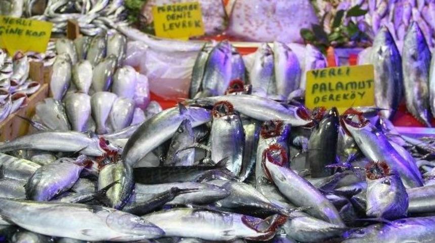 Samsun&rsquo;da Kurban Eti Balık Satışını Etkilemedi