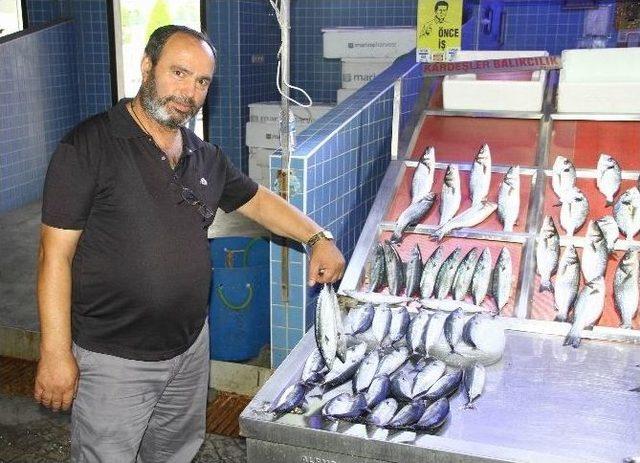 Samsun’da Kurban Eti Balık Satışını Etkilemedi