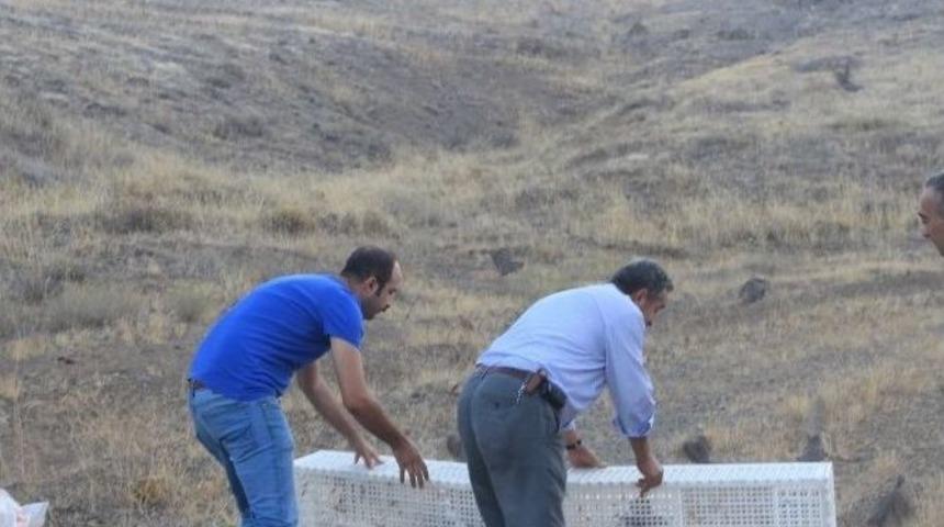 Darbe Şehitleri Malatya&rsquo;da Unutulmayacak