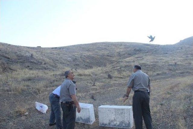 Darbe Şehitleri Malatya’da Unutulmayacak