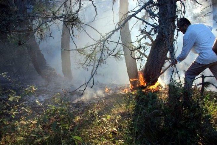 Karabük’te Orman Yangını