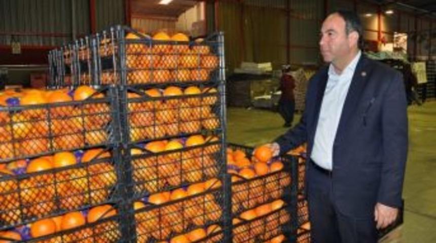 T&uuml;mer: &ldquo;&ccedil;ukurova, İhracatta Darbe Yemesin&rdquo;