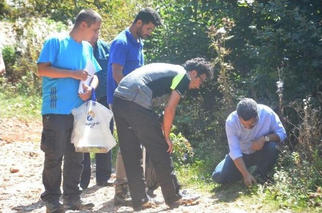 (&ouml;zel Haber)ormanların Sessiz Sakinleri Teker Teker Keşfediliyor
