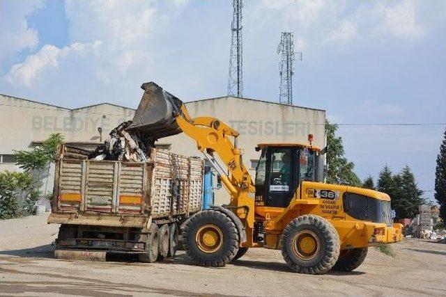 Thk, 8 Bin 100 Adet Küçükbaş, 130 Büyükbaş Deri Topladı