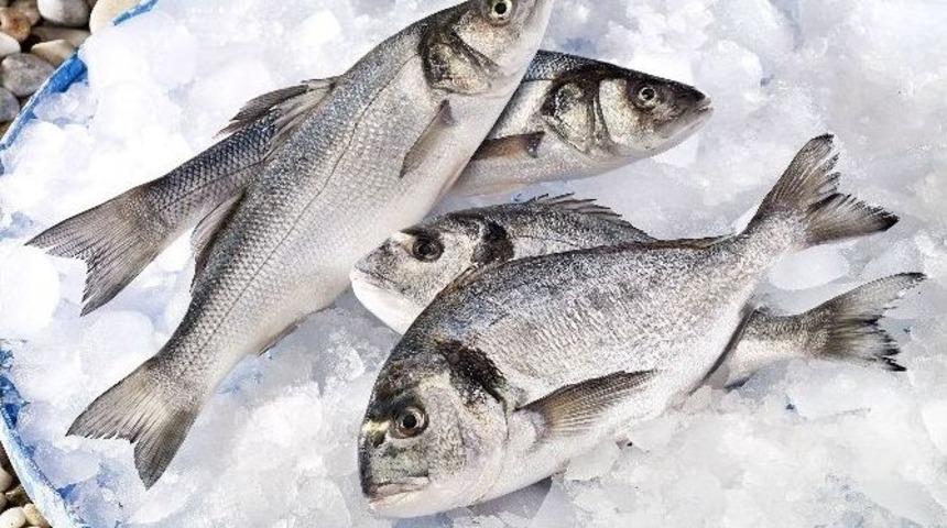 Ege&rsquo;nin Prensi &Ccedil;ipura D&uuml;nya Sofralarında