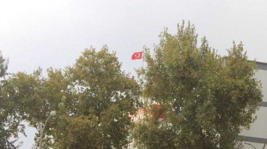 Adıyaman’da Şiddetli Rüzgar Ağacı Devirdi